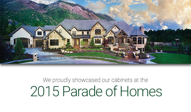 We were in the 2015 Parade of Homes!